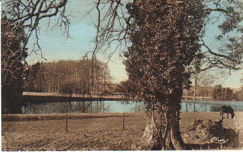 L'étang du parc